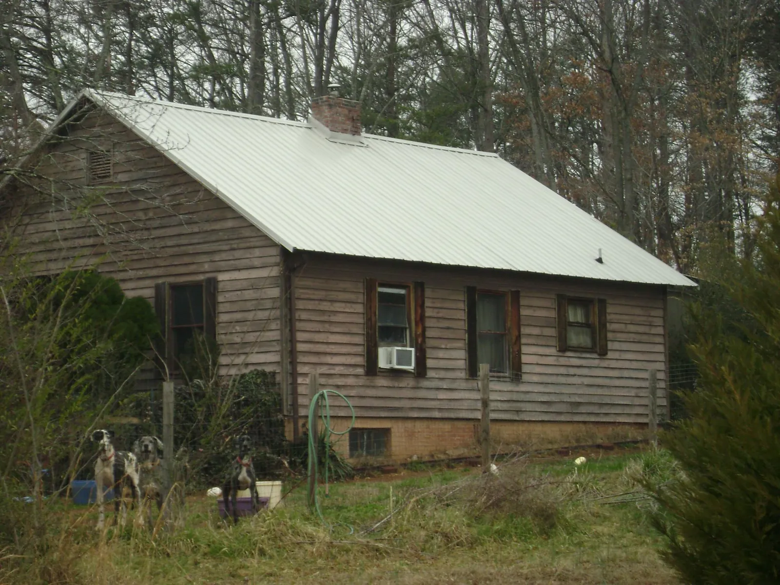 White metal roof on an old wood sided farmhouse, from a Asphalt Shingle Roof Repair job in Farmville